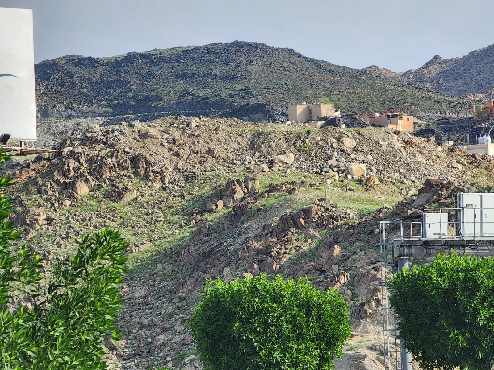 WhatsApp Image 2023-01-17 at 11.02.49 AM.jpeg